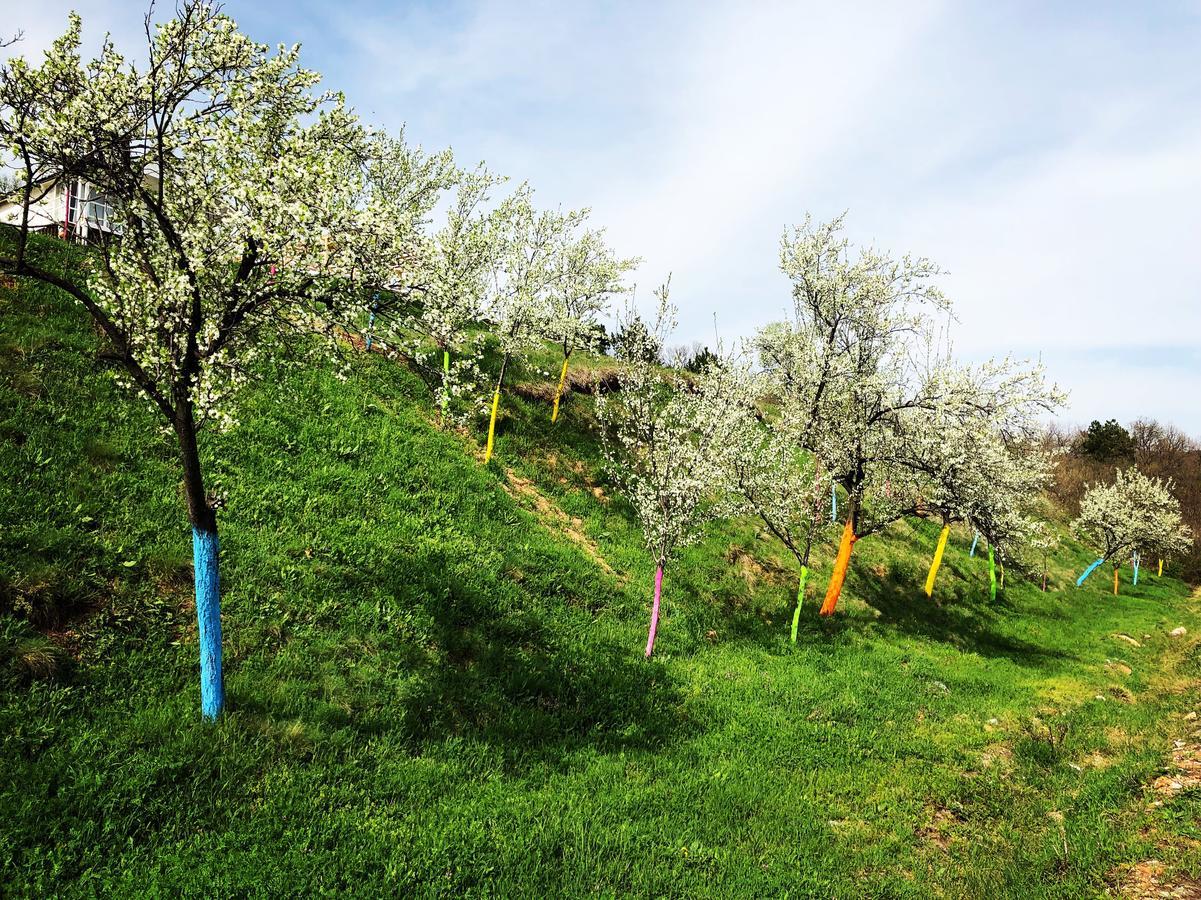 Dream Tricule Villa Svinita Luaran gambar