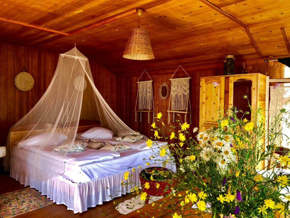Dream Tricule Villa Svinita Luaran gambar